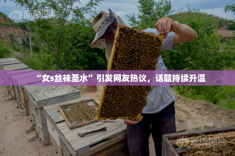 “女s丝袜圣水”引发网友热议，话题持续升温
