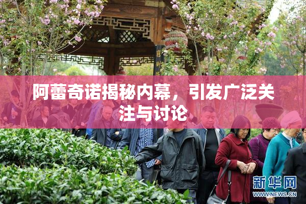 阿蕾奇诺揭秘内幕，引发广泛关注与讨论