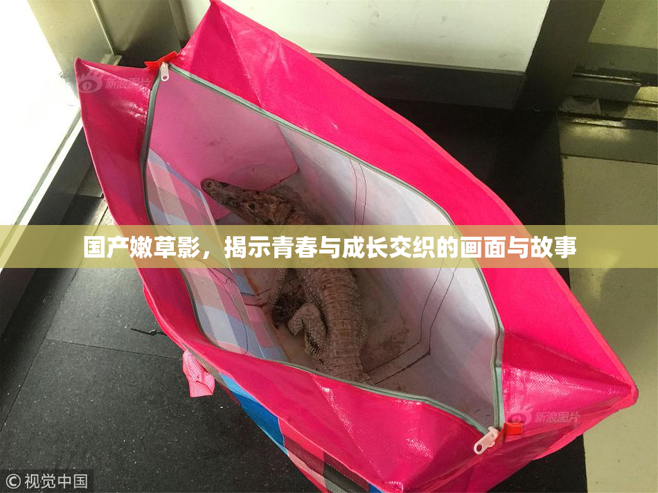 国产嫩草影，揭示青春与成长交织的画面与故事