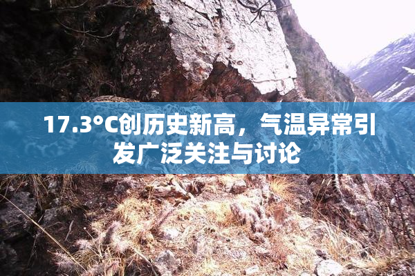 17.3°C创历史新高，气温异常引发广泛关注与讨论