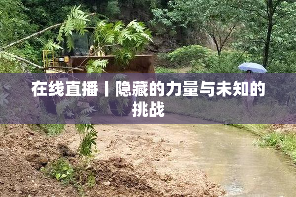 在线直播丨隐藏的力量与未知的挑战