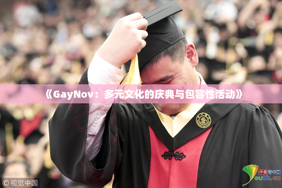 《GayNov：多元文化的庆典与包容性活动》