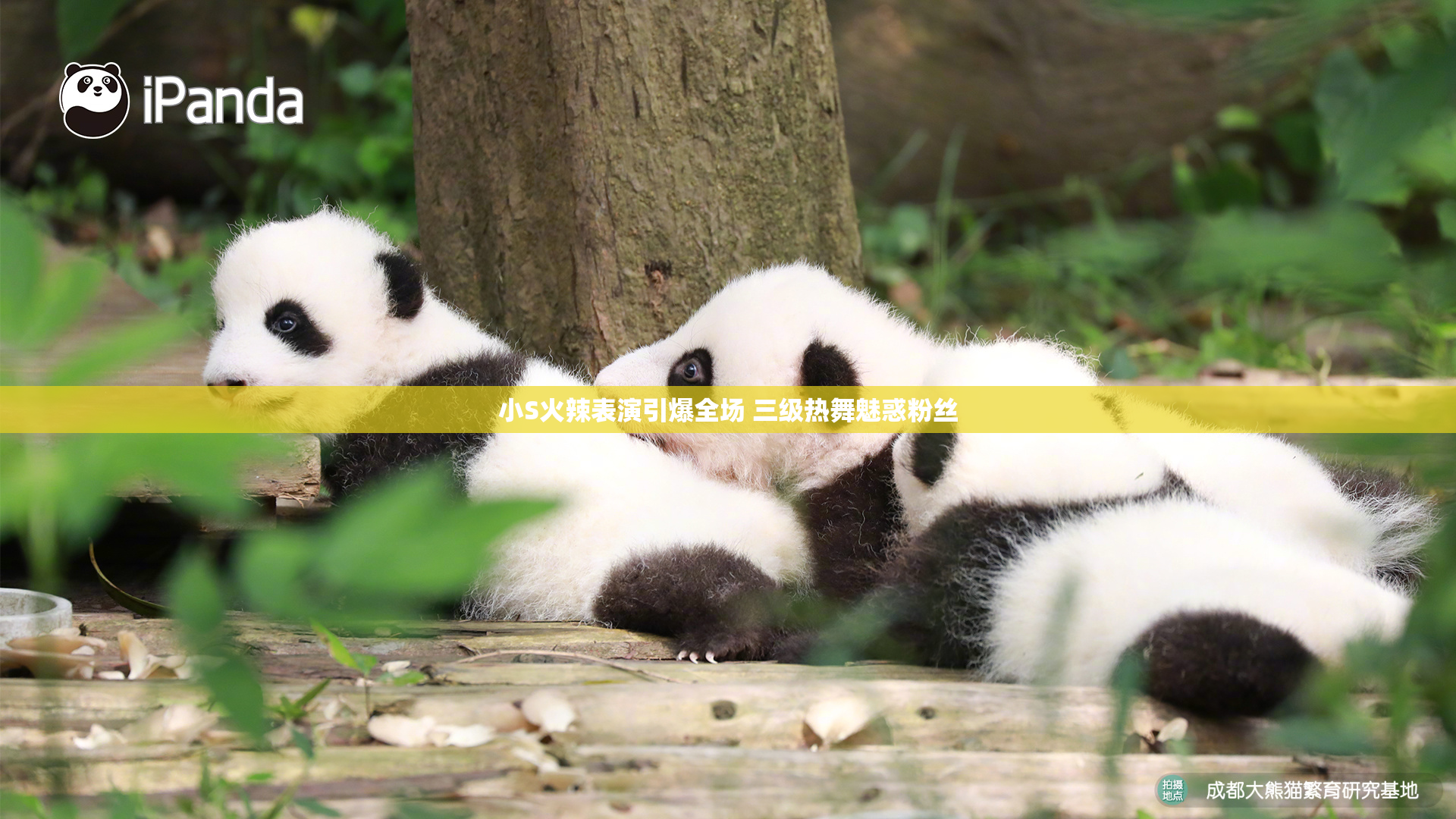 小S火辣表演引爆全场 三级热舞魅惑粉丝