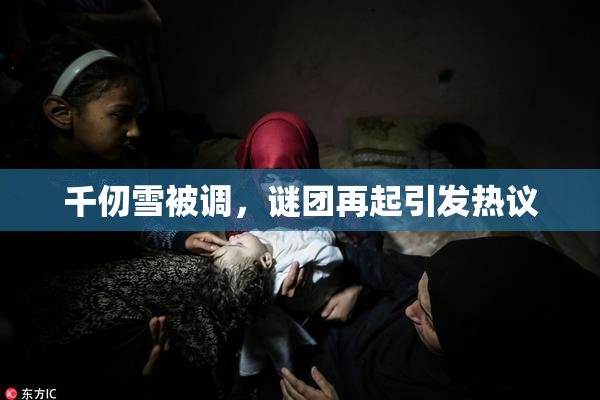 千仞雪被调，谜团再起引发热议