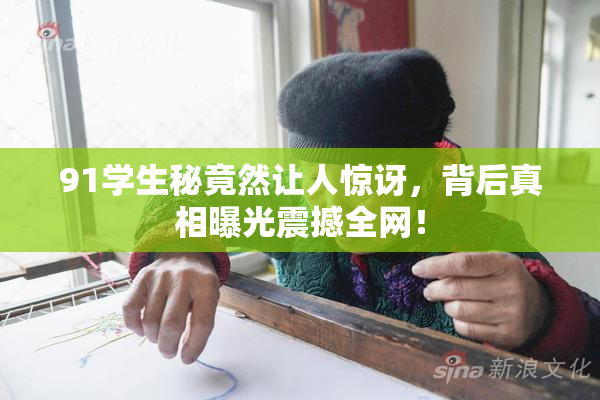 91学生秘竟然让人惊讶，背后真相曝光震撼全网！