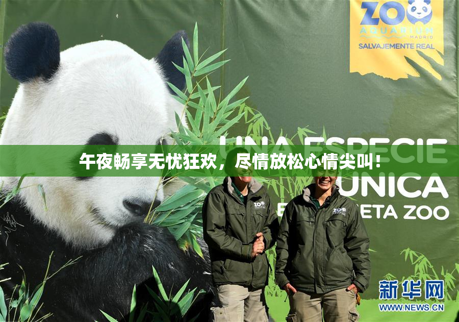 午夜畅享无忧狂欢，尽情放松心情尖叫！