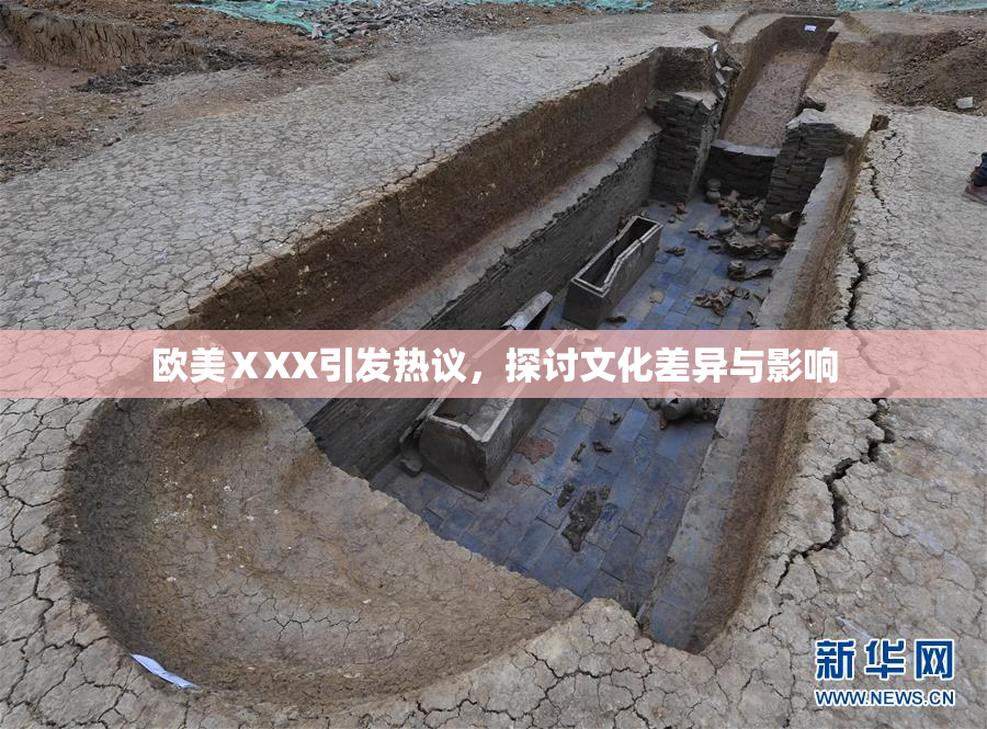 欧美ⅩXX引发热议，探讨文化差异与影响