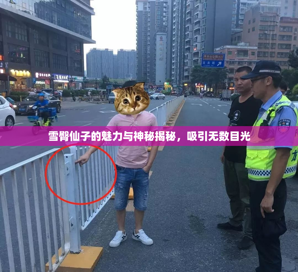 雪臀仙子的魅力与神秘揭秘，吸引无数目光