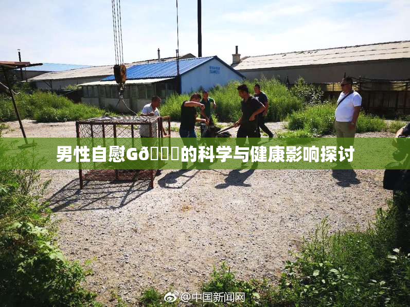 男性自慰G🈚的科学与健康影响探讨