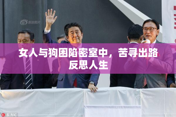 女人与狗困陷密室中，苦寻出路反思人生