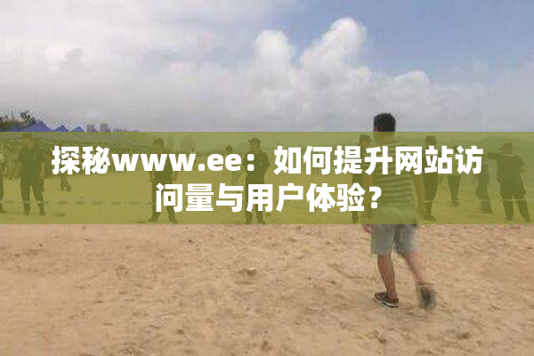 探秘www.ee：如何提升网站访问量与用户体验？