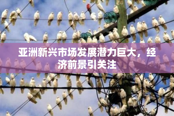 亚洲新兴市场发展潜力巨大，经济前景引关注