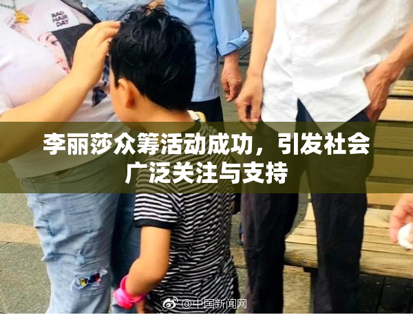 李丽莎众筹活动成功，引发社会广泛关注与支持