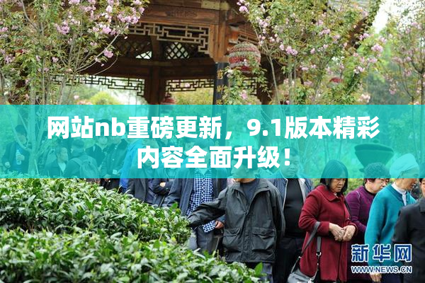 网站nb重磅更新，9.1版本精彩内容全面升级！