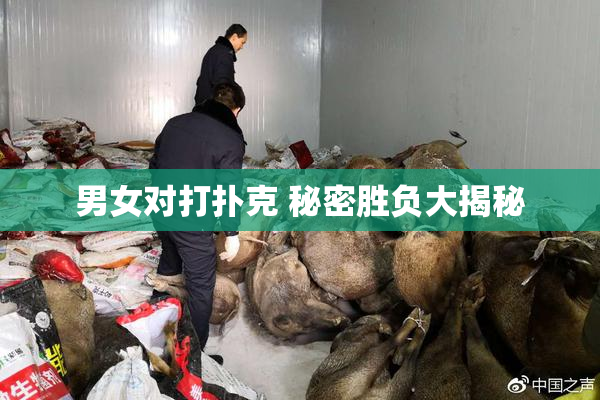 男女对打扑克 秘密胜负大揭秘