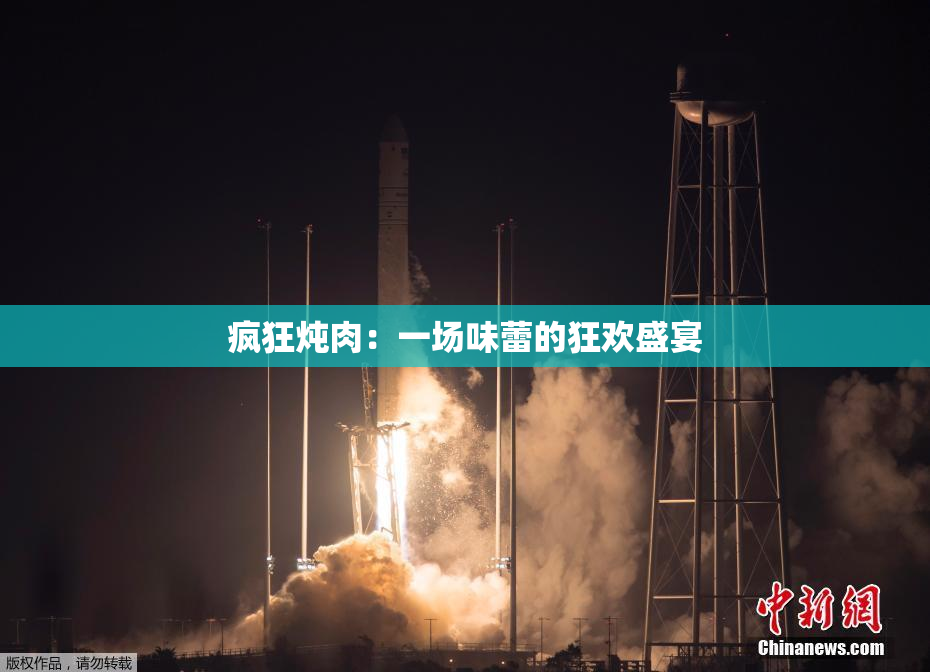 疯狂炖肉：一场味蕾的狂欢盛宴