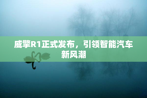 威擎R1正式发布，引领智能汽车新风潮