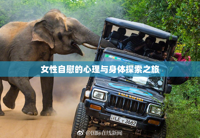 女性自慰的心理与身体探索之旅
