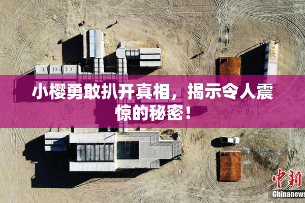 小樱勇敢扒开真相，揭示令人震惊的秘密！