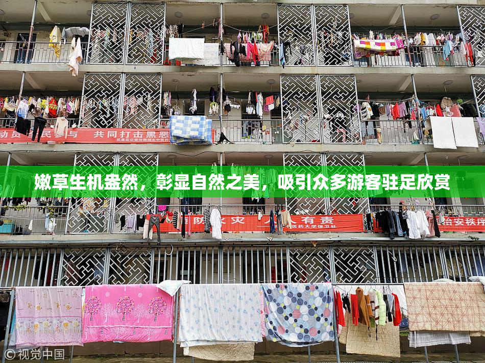 嫩草生机盎然，彰显自然之美，吸引众多游客驻足欣赏