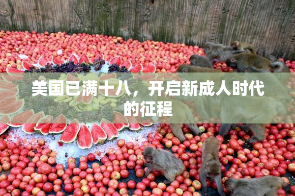 美国已满十八，开启新成人时代的征程