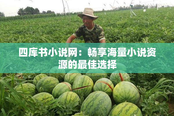 四库书小说网：畅享海量小说资源的最佳选择
