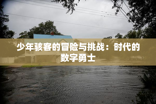 少年骇客的冒险与挑战：时代的数字勇士