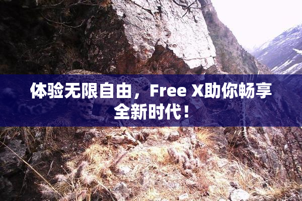 体验无限自由，Free X助你畅享全新时代！