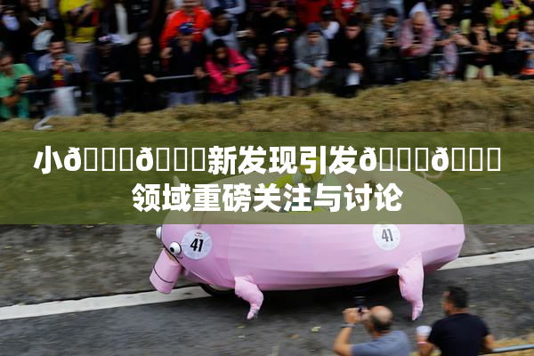 小🐔🐔新发现引发🍑🔞领域重磅关注与讨论