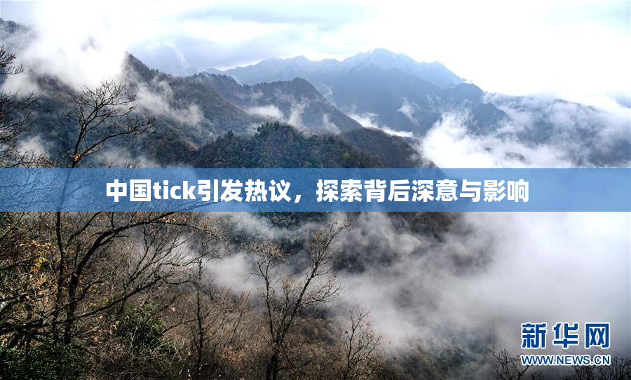 中国tick引发热议，探索背后深意与影响
