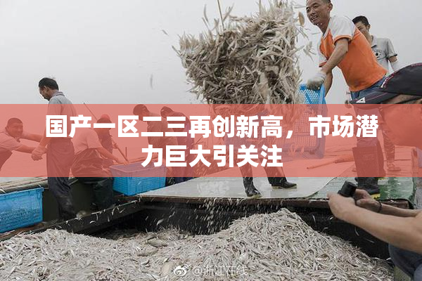 国产一区二三再创新高，市场潜力巨大引关注