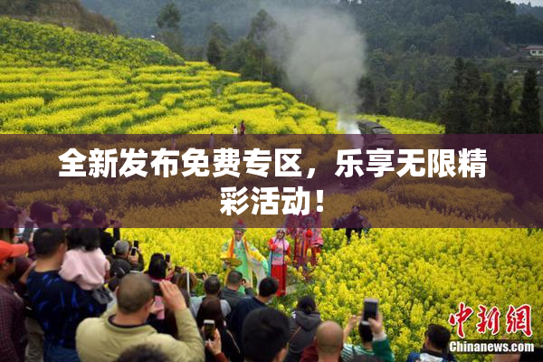 全新发布免费专区，乐享无限精彩活动！