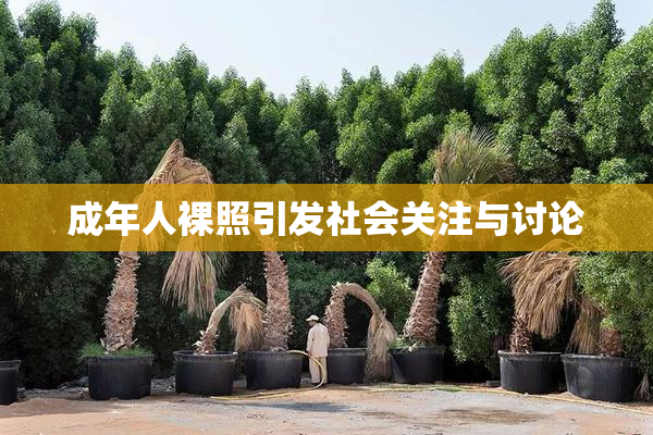 成年人裸照引发社会关注与讨论