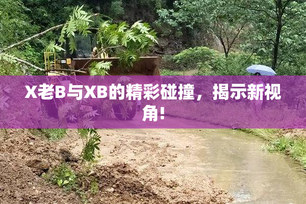X老B与XB的精彩碰撞，揭示新视角!