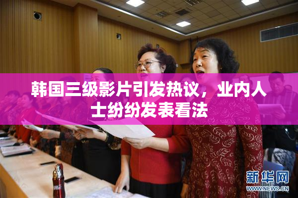 韩国三级影片引发热议，业内人士纷纷发表看法