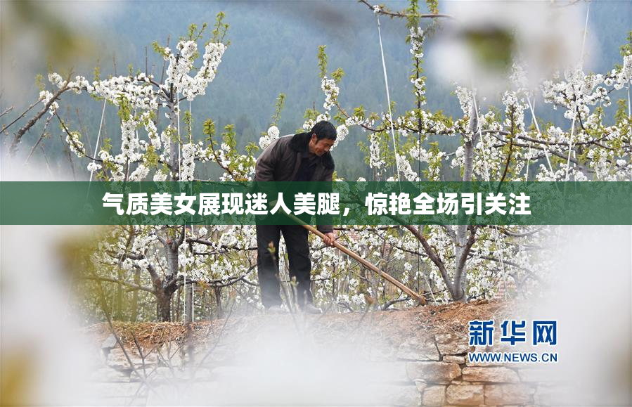 气质美女展现迷人美腿，惊艳全场引关注