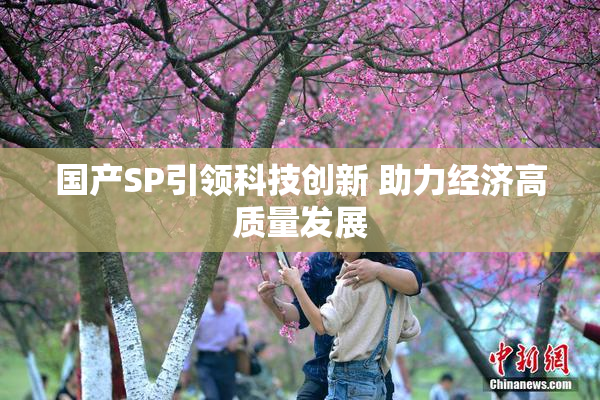国产SP引领科技创新 助力经济高质量发展