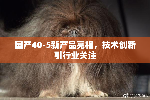 国产40-5新产品亮相，技术创新引行业关注