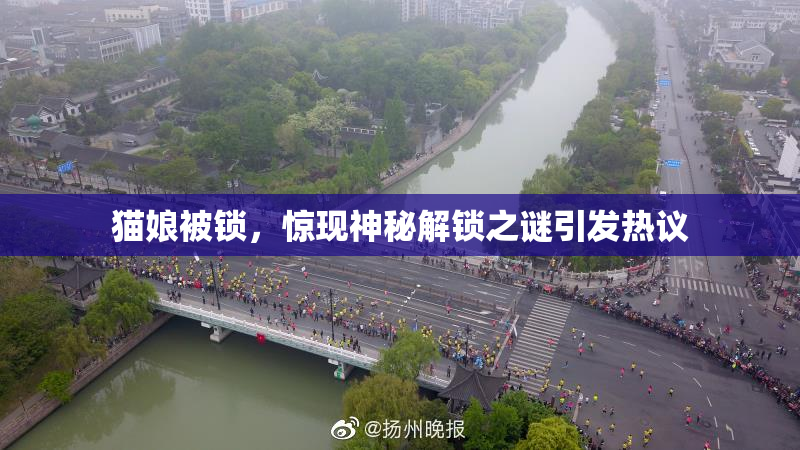 猫娘被锁，惊现神秘解锁之谜引发热议