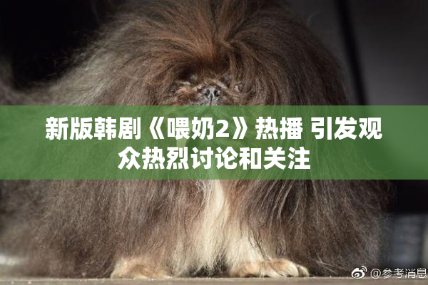 新版韩剧《喂奶2》热播 引发观众热烈讨论和关注