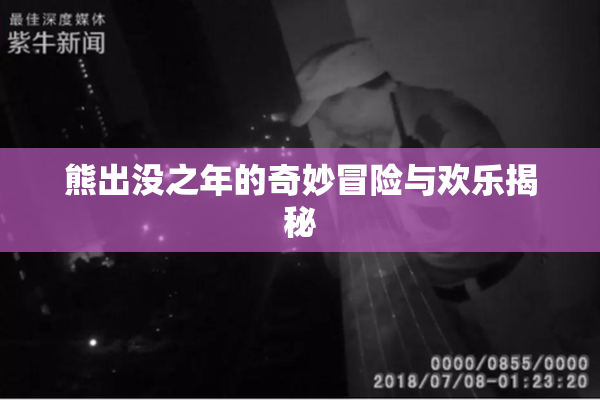熊出没之年的奇妙冒险与欢乐揭秘