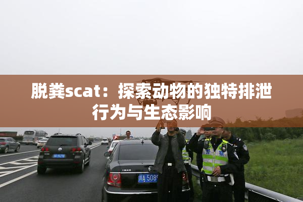 脱粪scat：探索动物的独特排泄行为与生态影响
