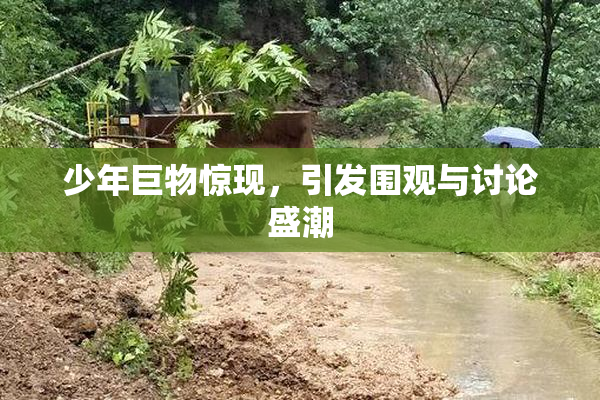 少年巨物惊现，引发围观与讨论盛潮