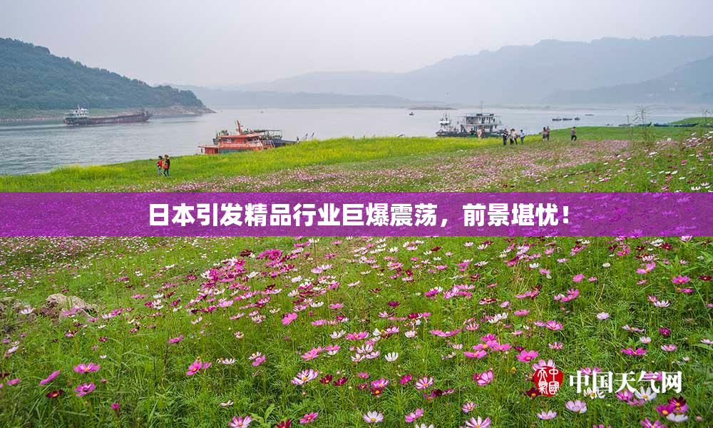 日本引发精品行业巨爆震荡，前景堪忧！