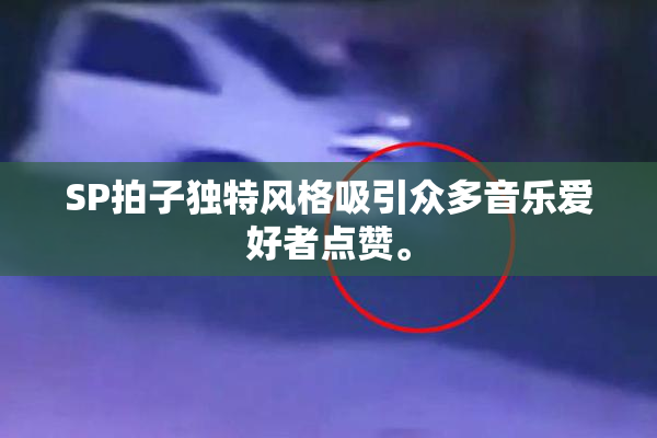 SP拍子独特风格吸引众多音乐爱好者点赞。