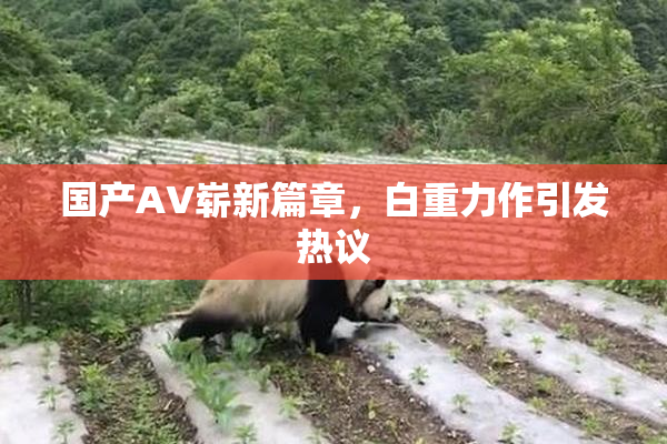 国产AV崭新篇章，白重力作引发热议