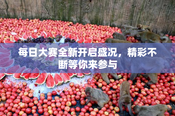每日大赛全新开启盛况，精彩不断等你来参与