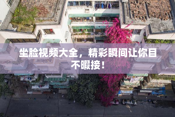 坐脸视频大全，精彩瞬间让你目不暇接！