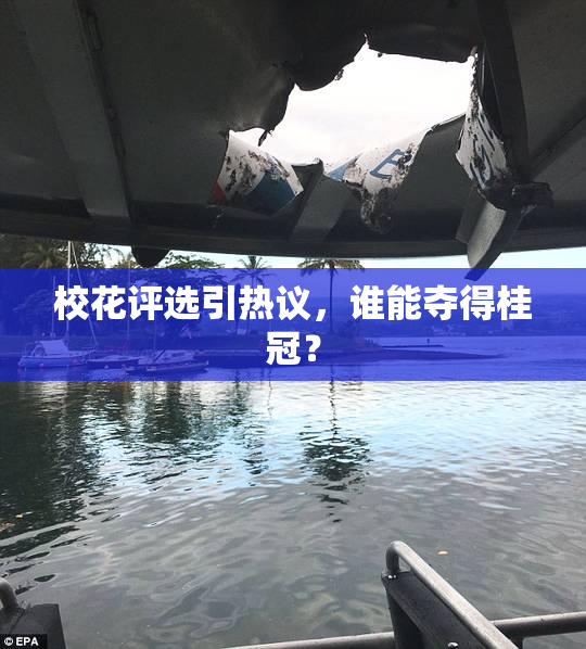 校花评选引热议，谁能夺得桂冠？