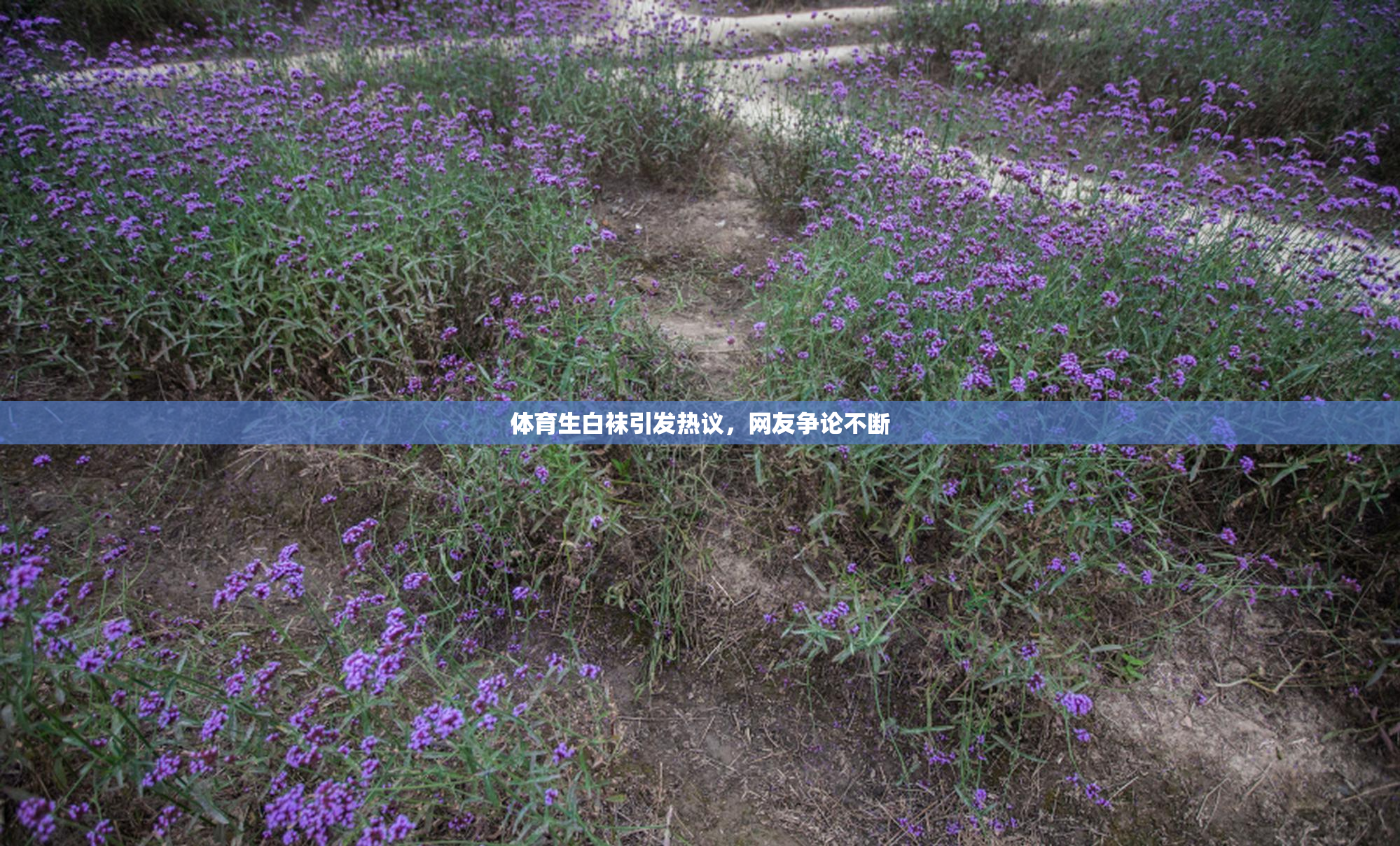 体育生白袜引发热议，网友争论不断